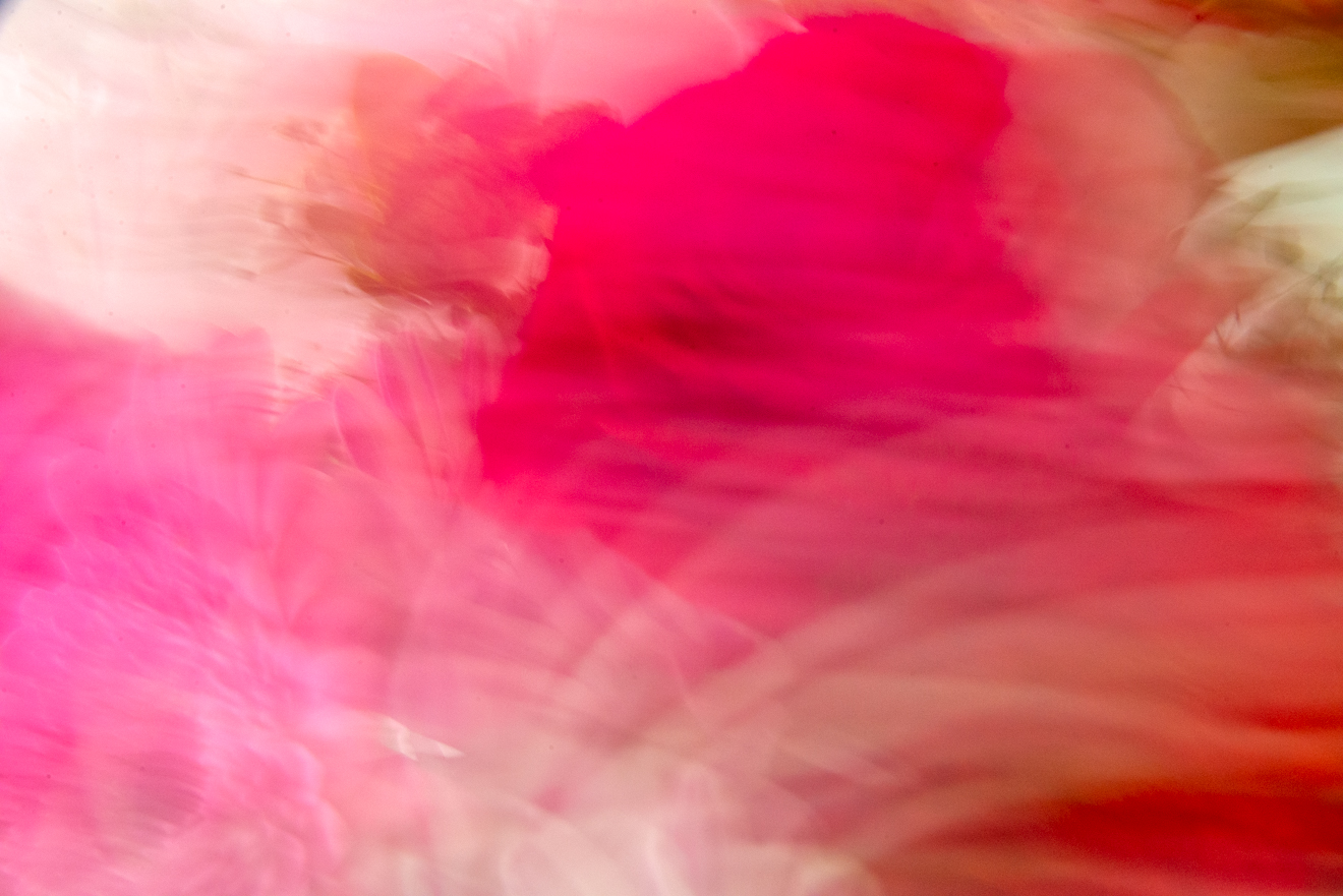 Biochemistry photograph by GK3000