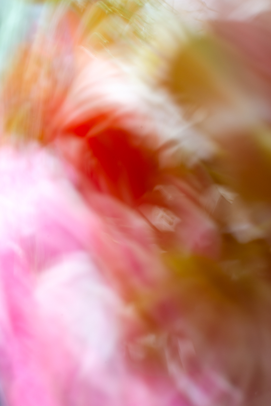 Biochemistry photograph by GK3000