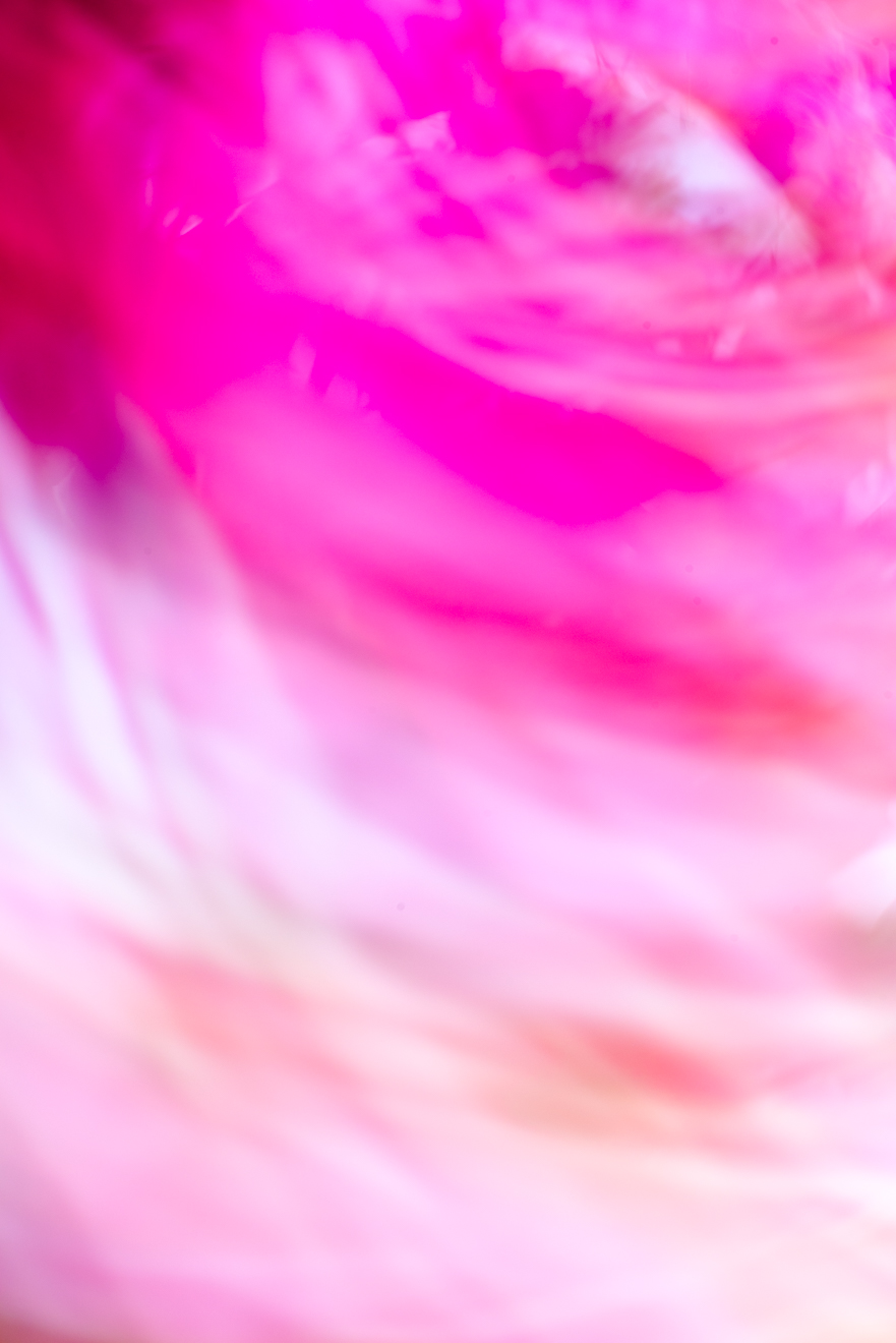 Biochemistry photograph by GK3000