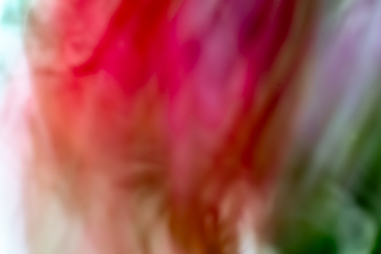 Biochemistry photograph by GK3000