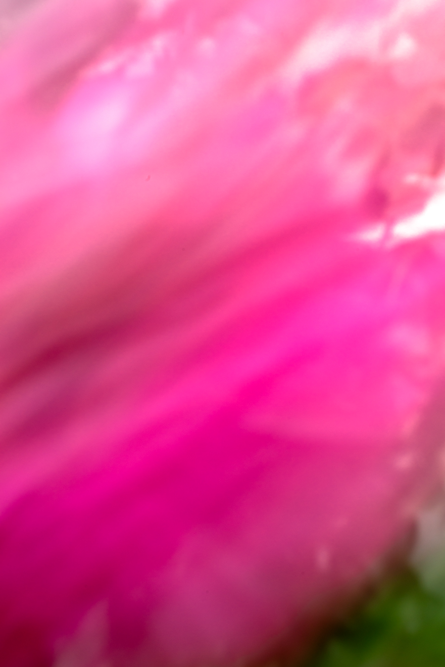 Biochemistry photograph by GK3000