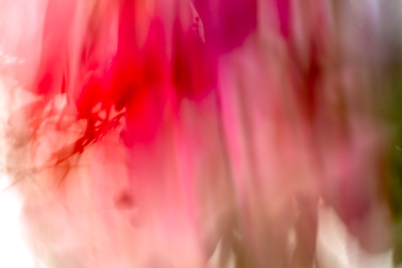 Biochemistry photograph by GK3000