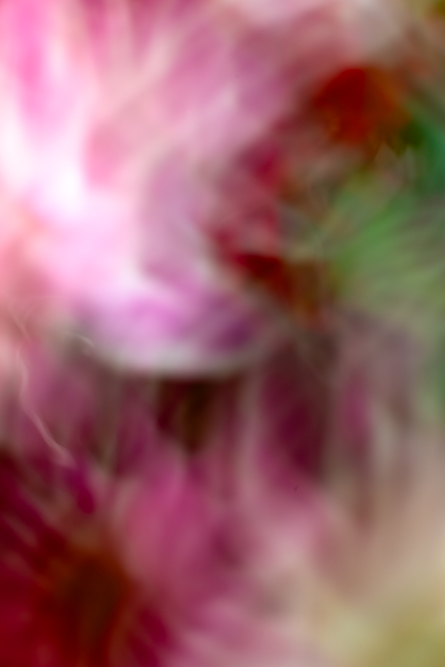 Biochemistry photograph by GK3000