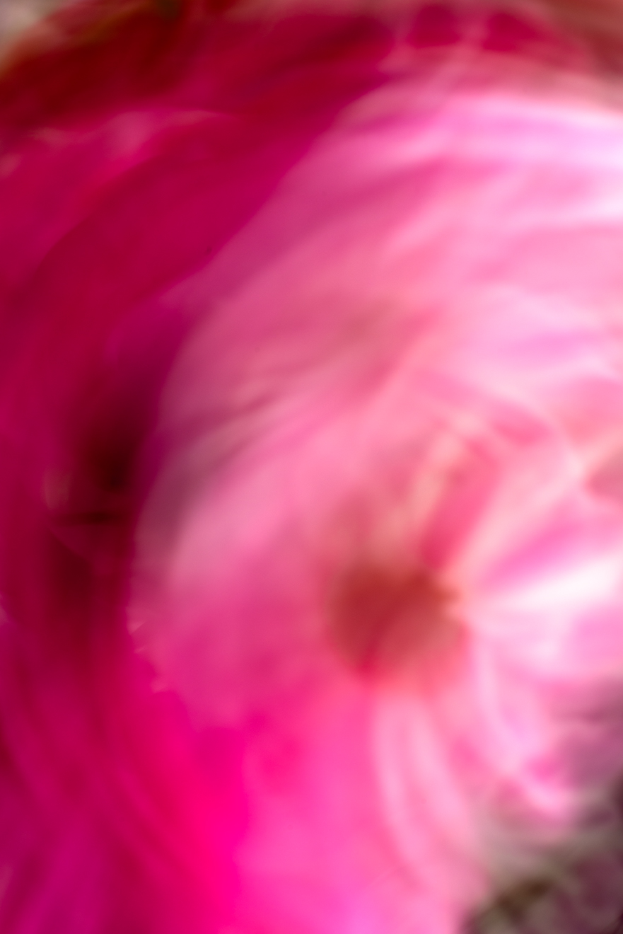 Biochemistry photograph by GK3000