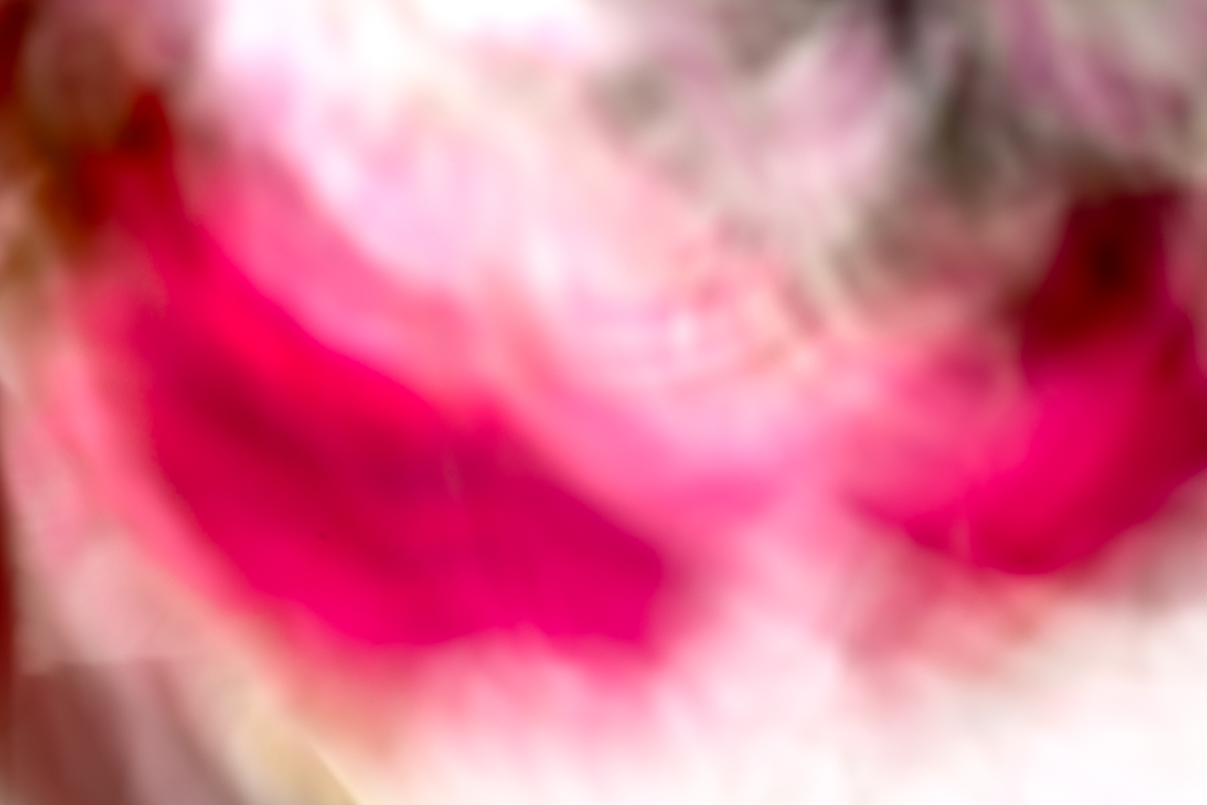 Biochemistry photograph by GK3000