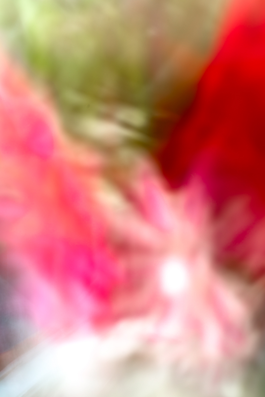 Biochemistry photograph by GK3000