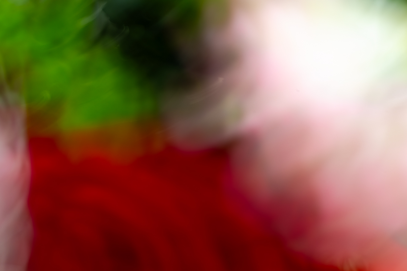 Biochemistry photograph by GK3000