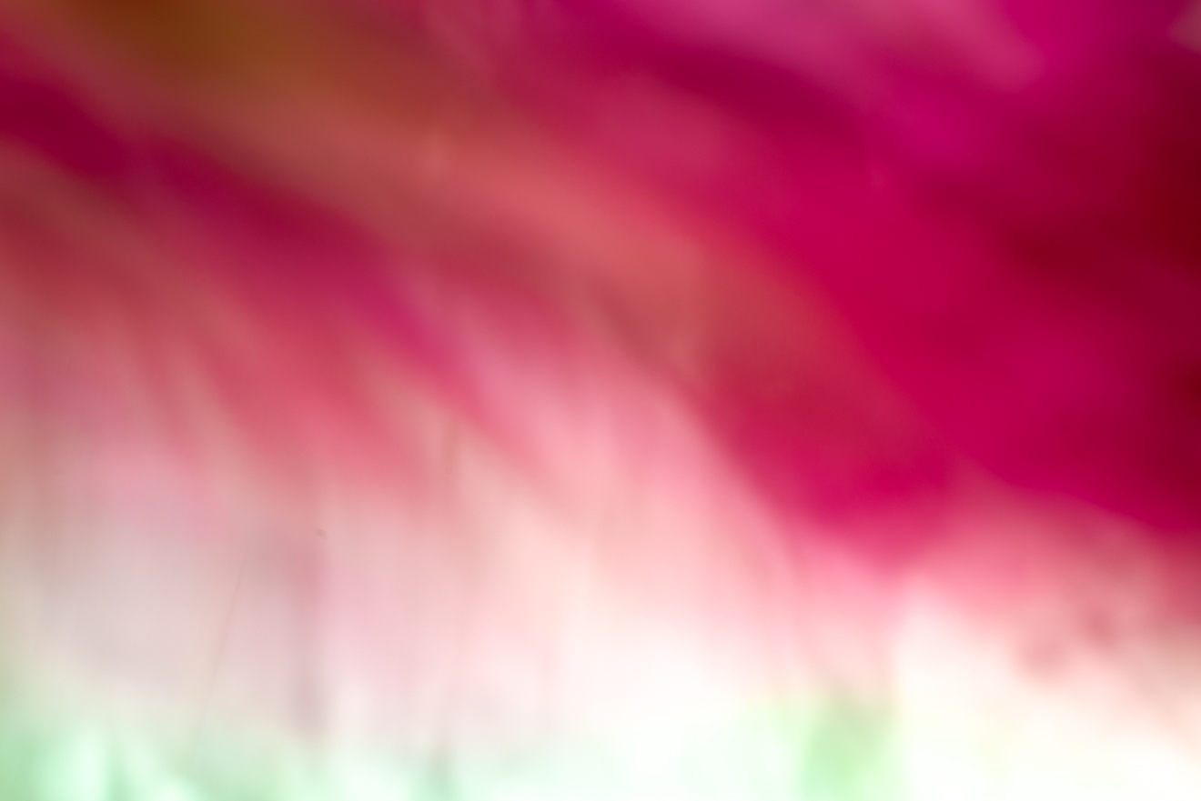 Biochemistry photograph by GK3000