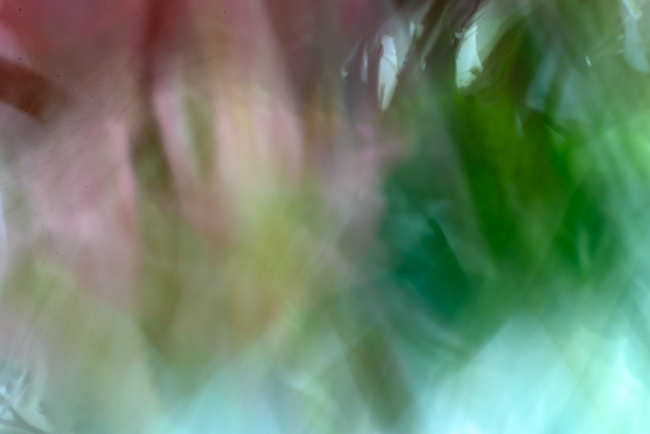 Biochemistry photograph by GK3000