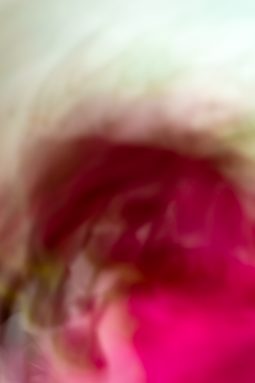 Biochemistry photograph by GK3000