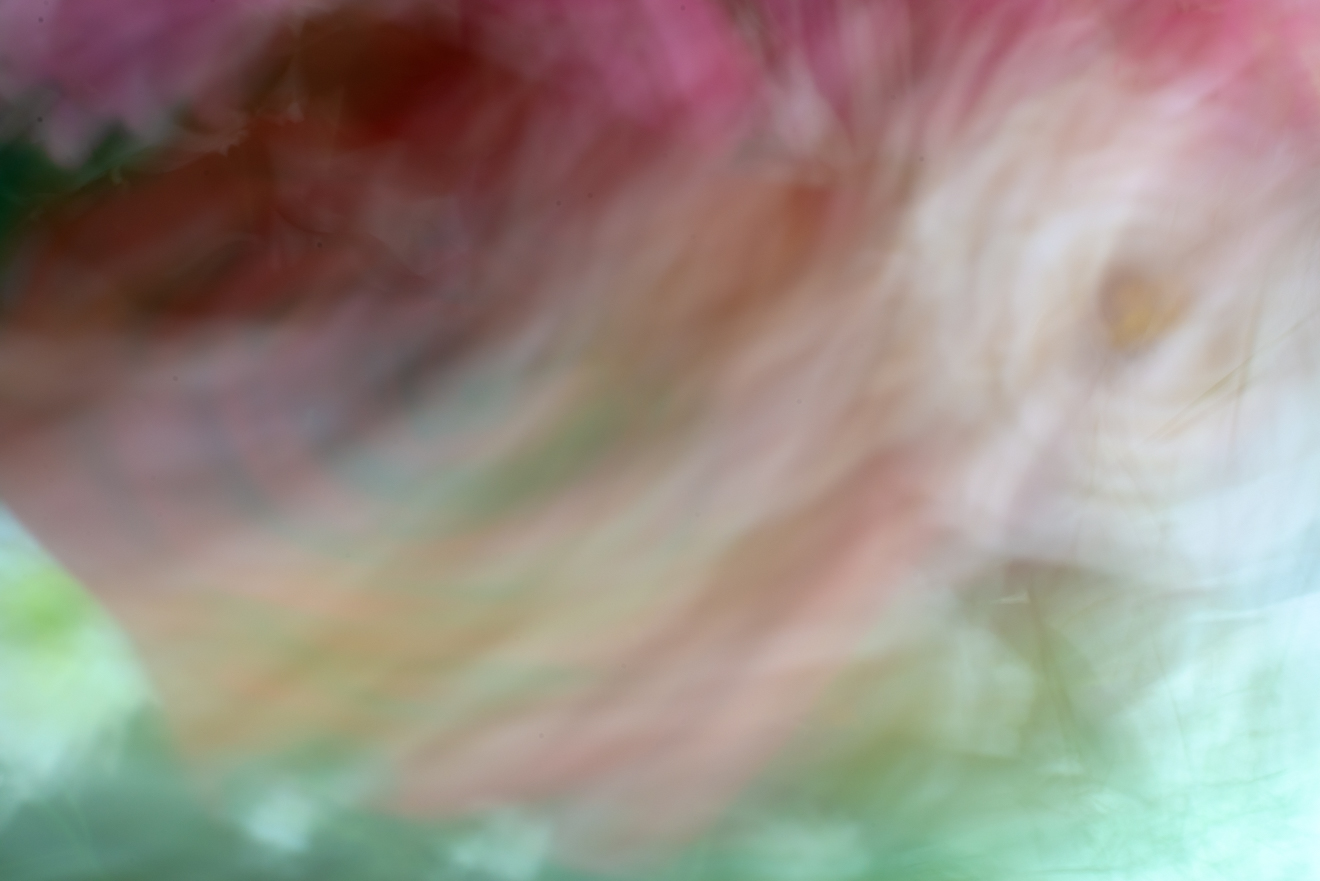 Biochemistry photograph by GK3000