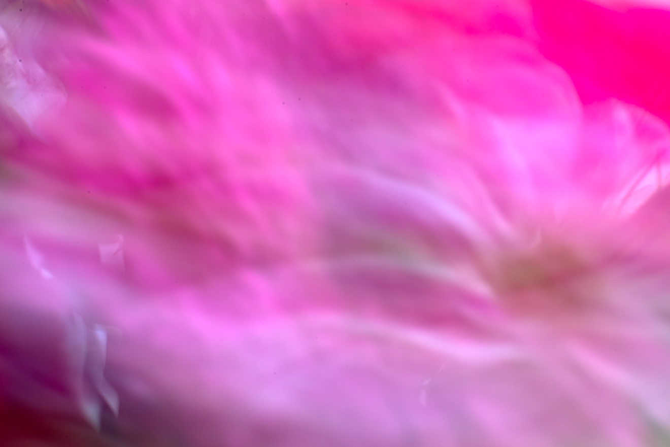 Biochemistry photograph by GK3000