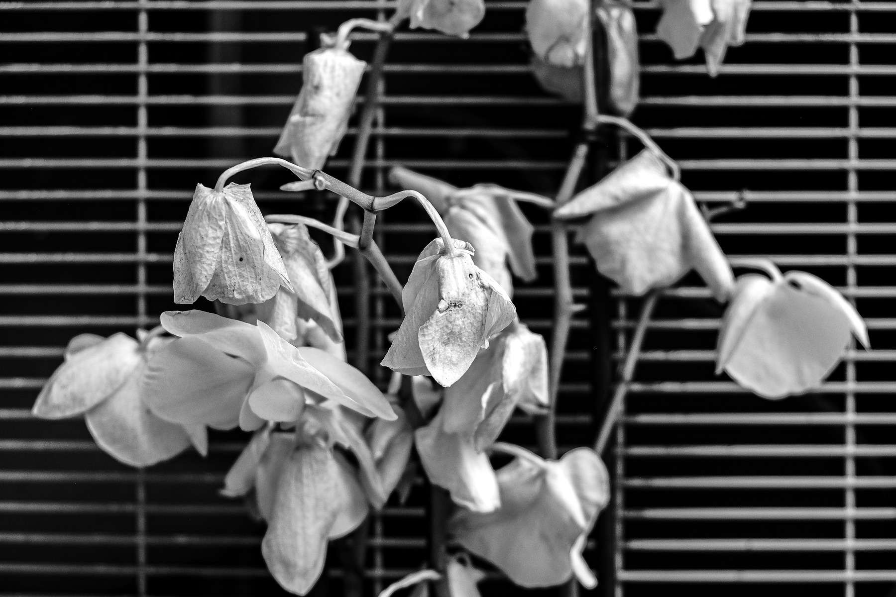 Decay photograph by GK3000 / photographer in barcelona, fotografo en barcelona