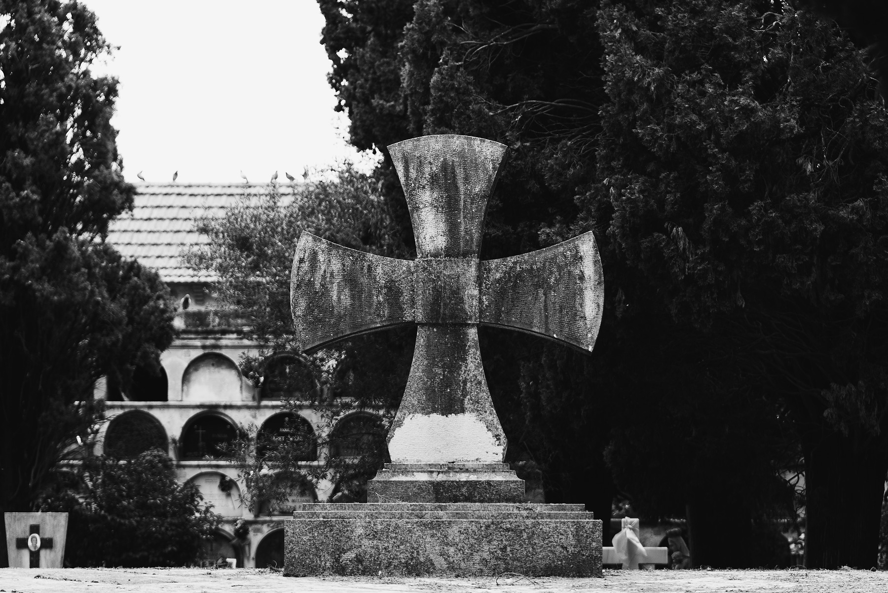 Show Me The Light photograph by GK3000 / photographer in barcelona, fotografo en barcelona