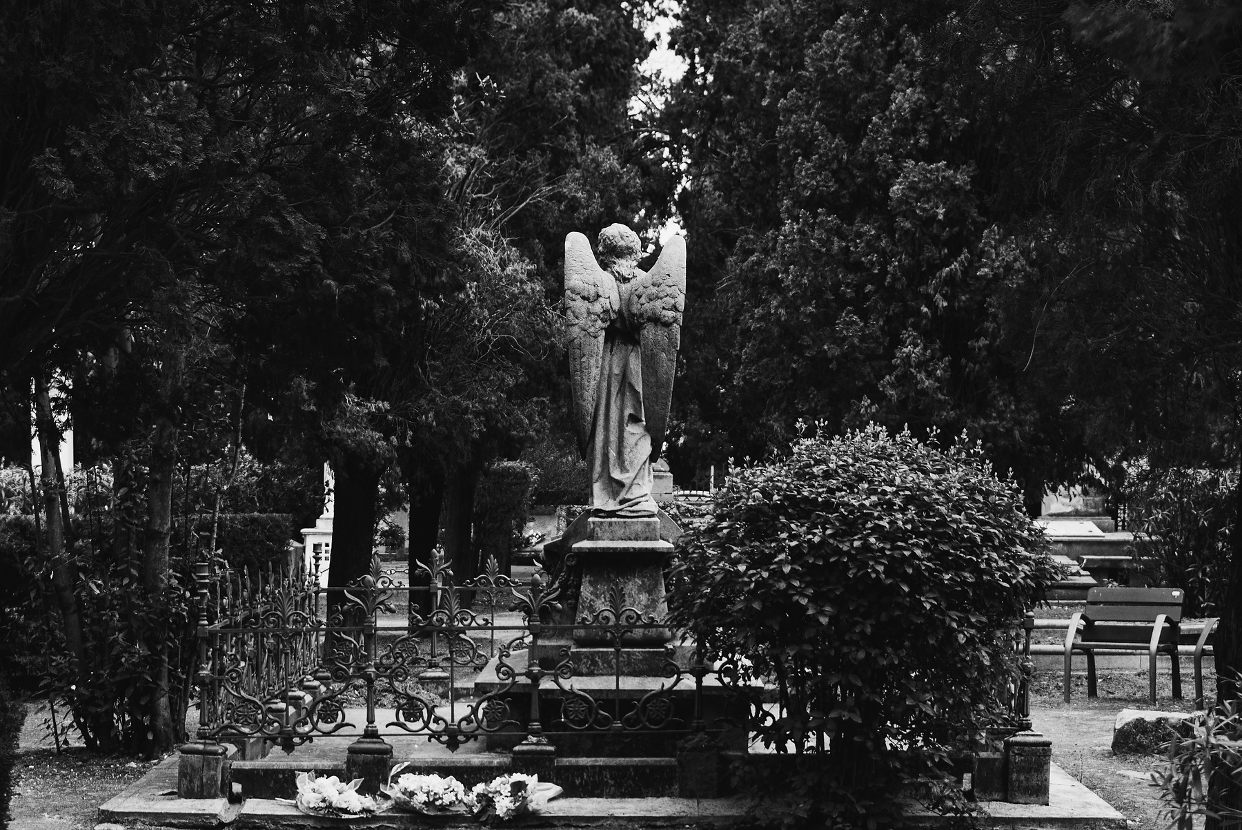 Show Me The Light photograph by GK3000 / photographer in barcelona, fotografo en barcelona