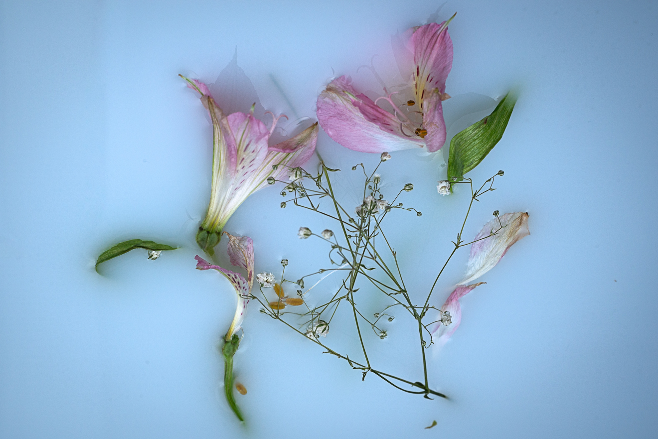 Young Love Will End photograph by GK3000